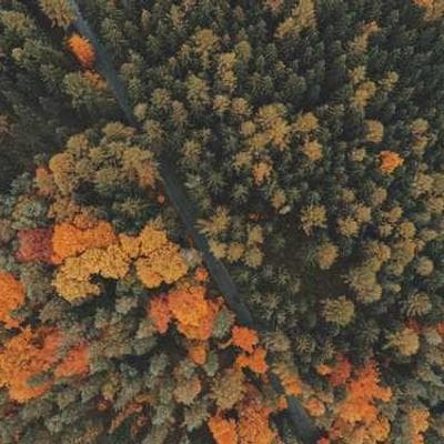 Gallery image 1 for Cuptorul cu Lemne