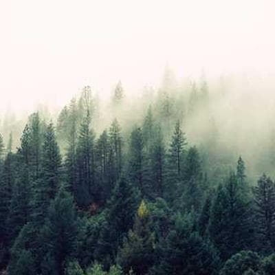 Gallery image 2 for Cuptorul cu Lemne