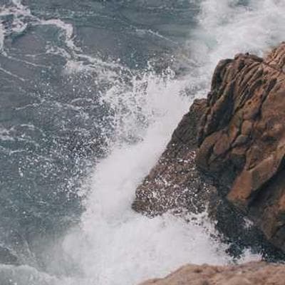 Gallery image 4 for Brutarie