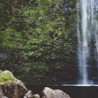 Lesaffre Romania logo