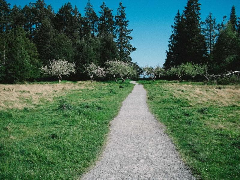 Gallery image 1 for Happy Bread